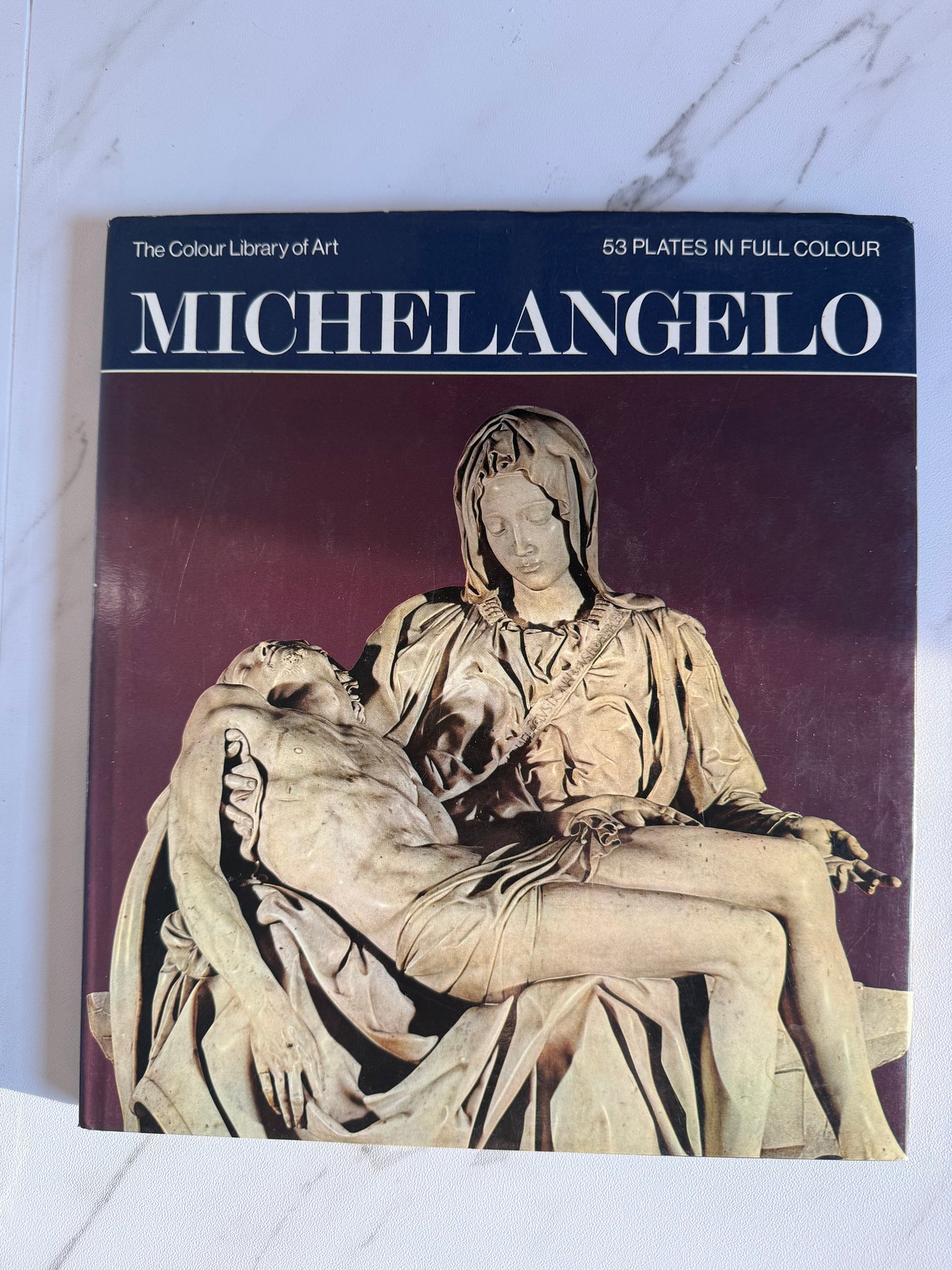 Michelangelo Book
