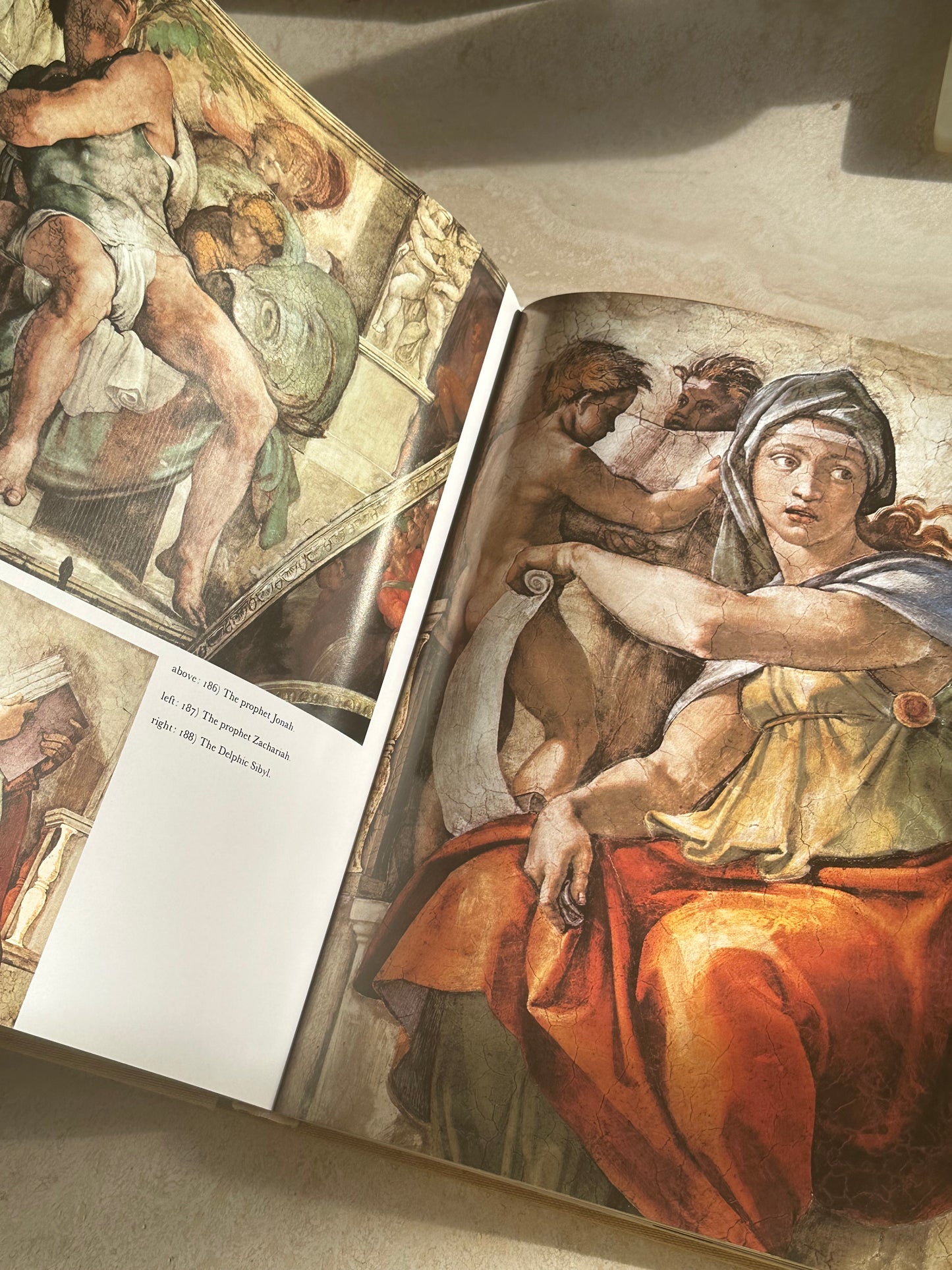 Art Treasures of The Vatican Book