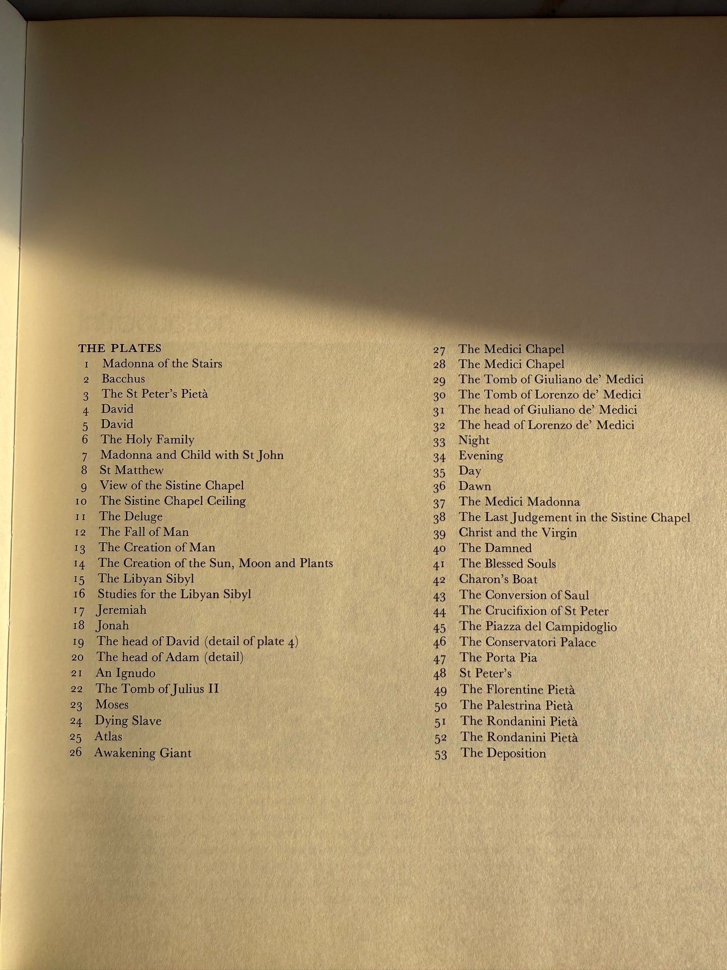 Michelangelo Book