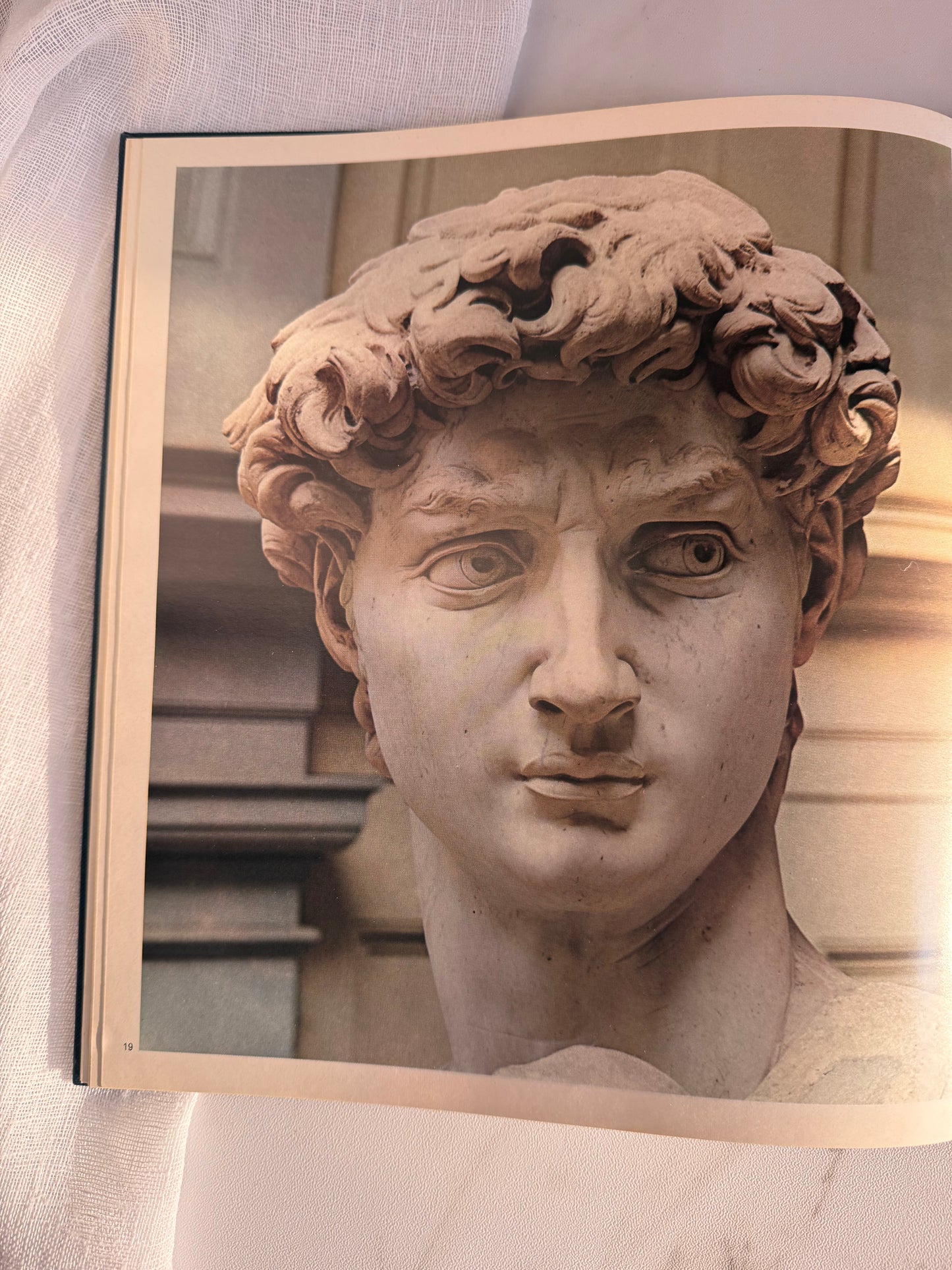Michelangelo Book
