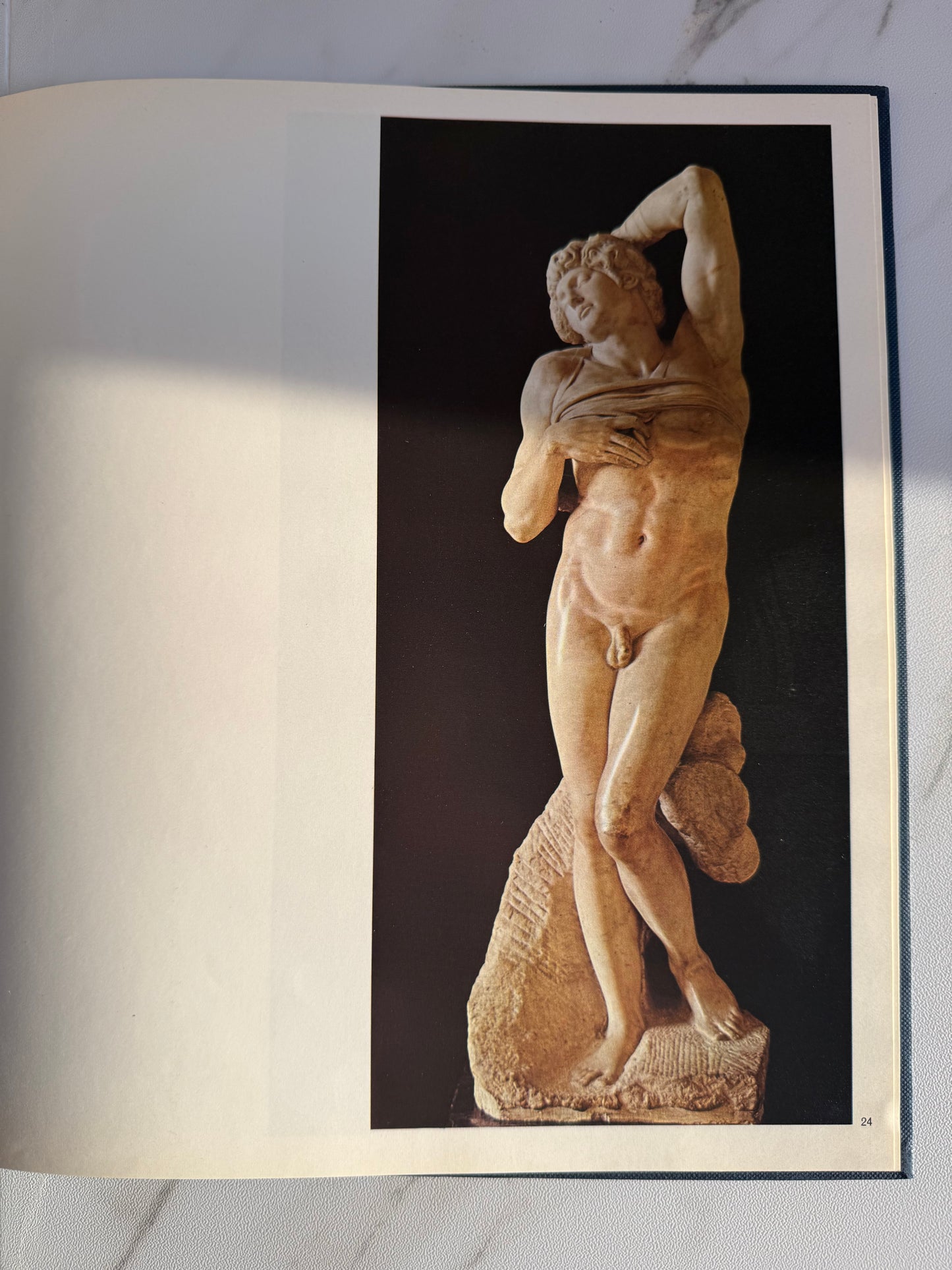 Michelangelo Book