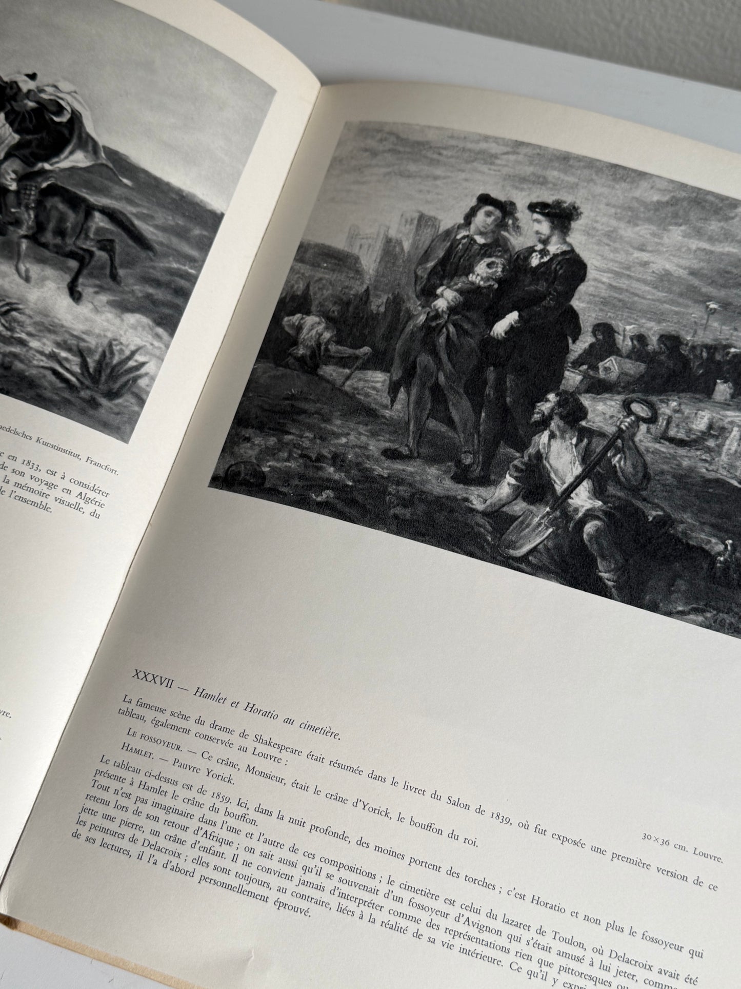 Delacroix Book (in French)