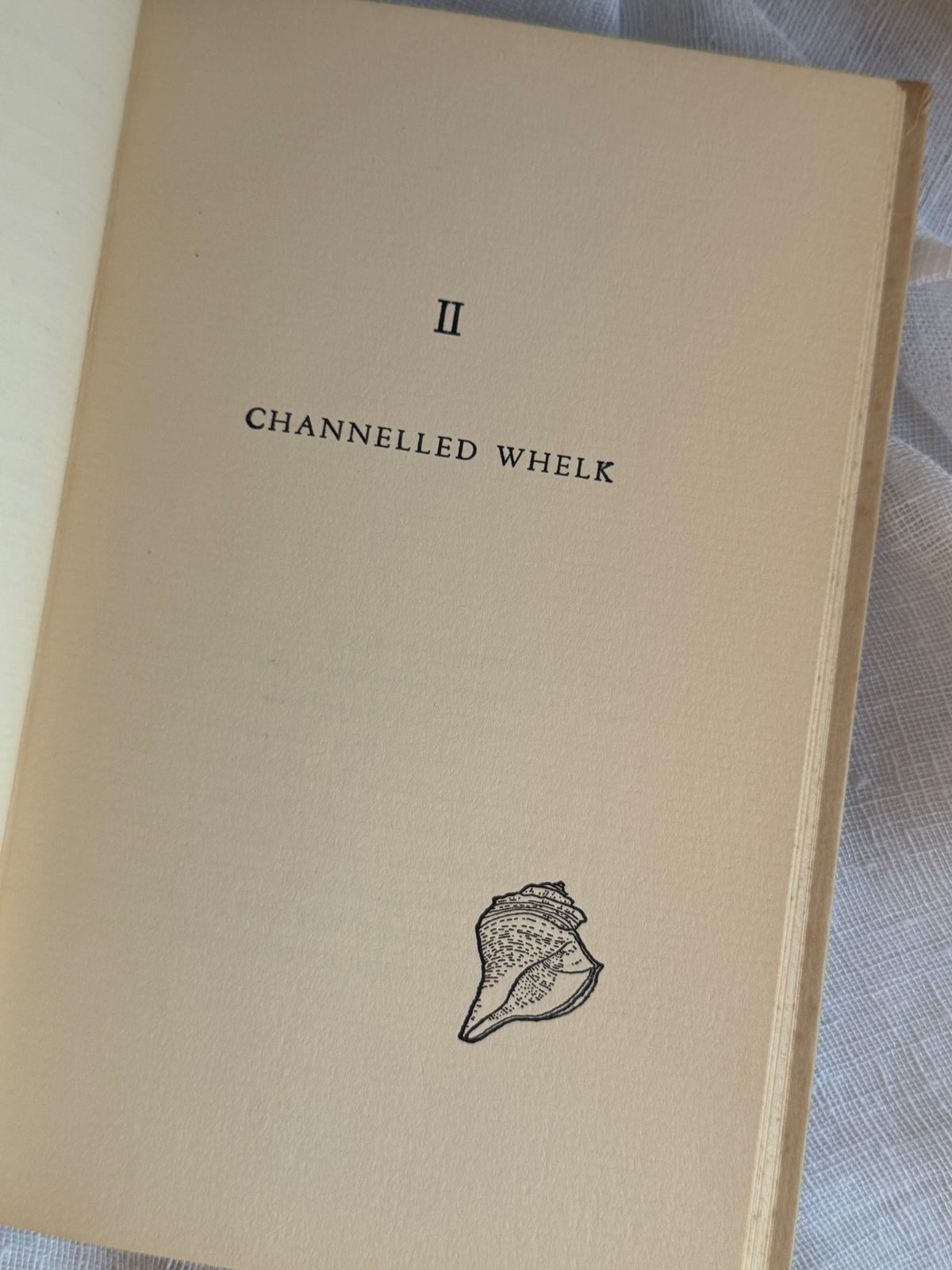 The Gift From The Sea Book