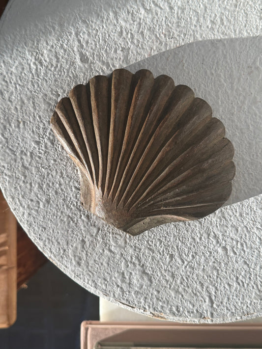 Vintage Wood Sea Shell