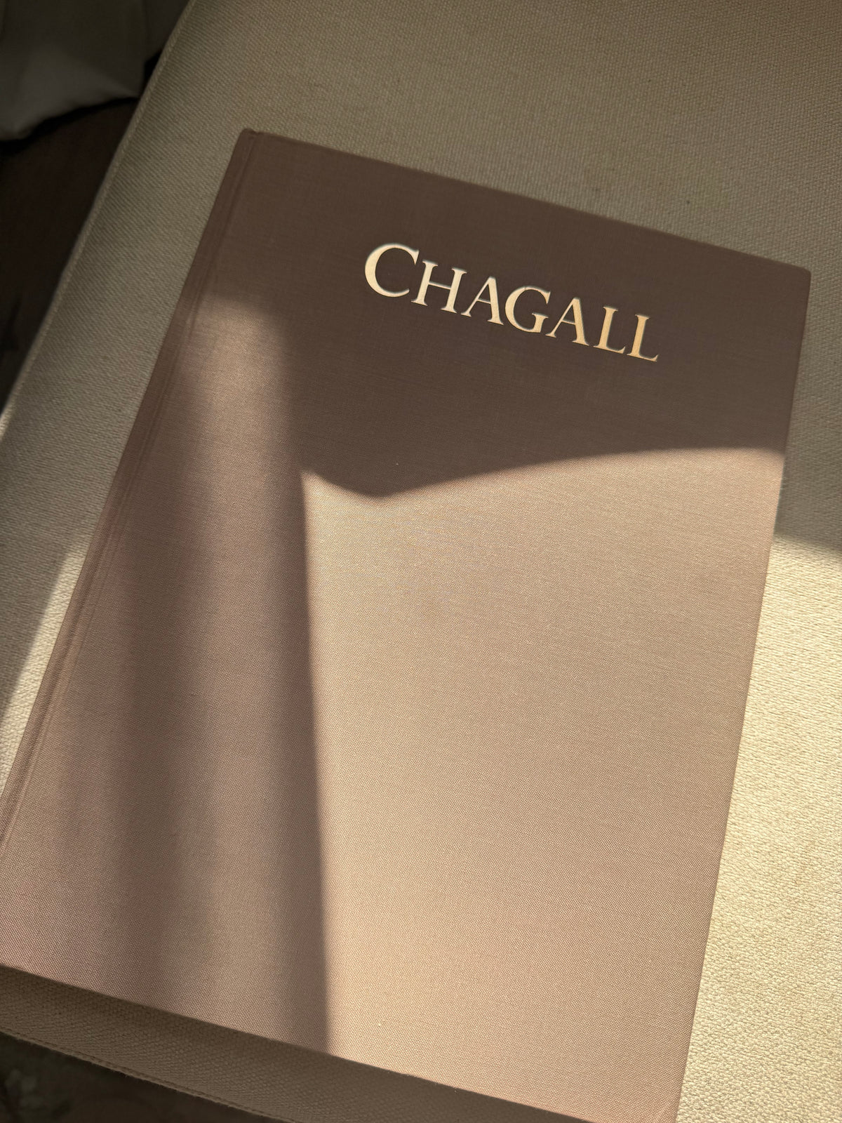 Chagall Book