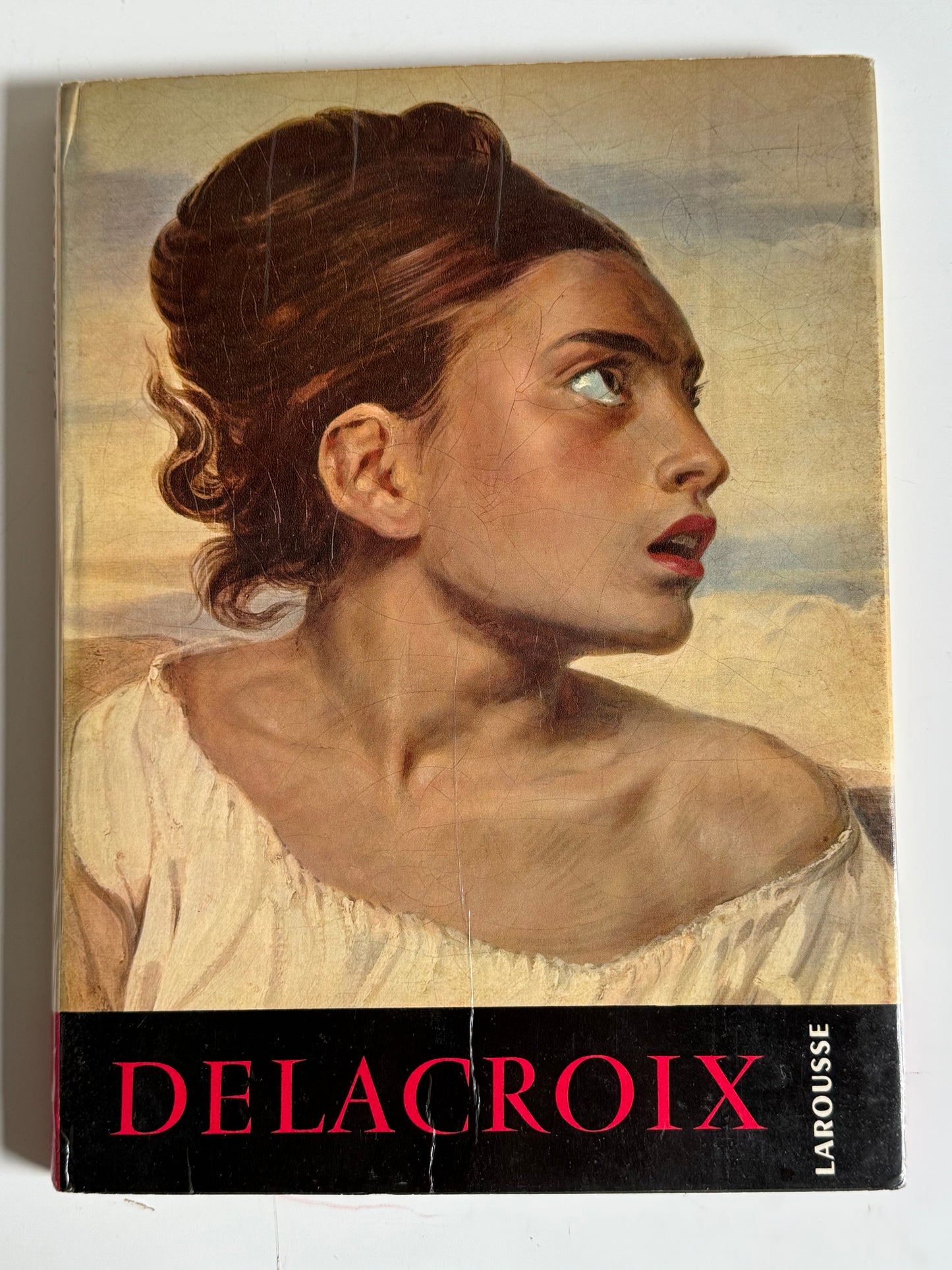 Delacroix Book (in French)