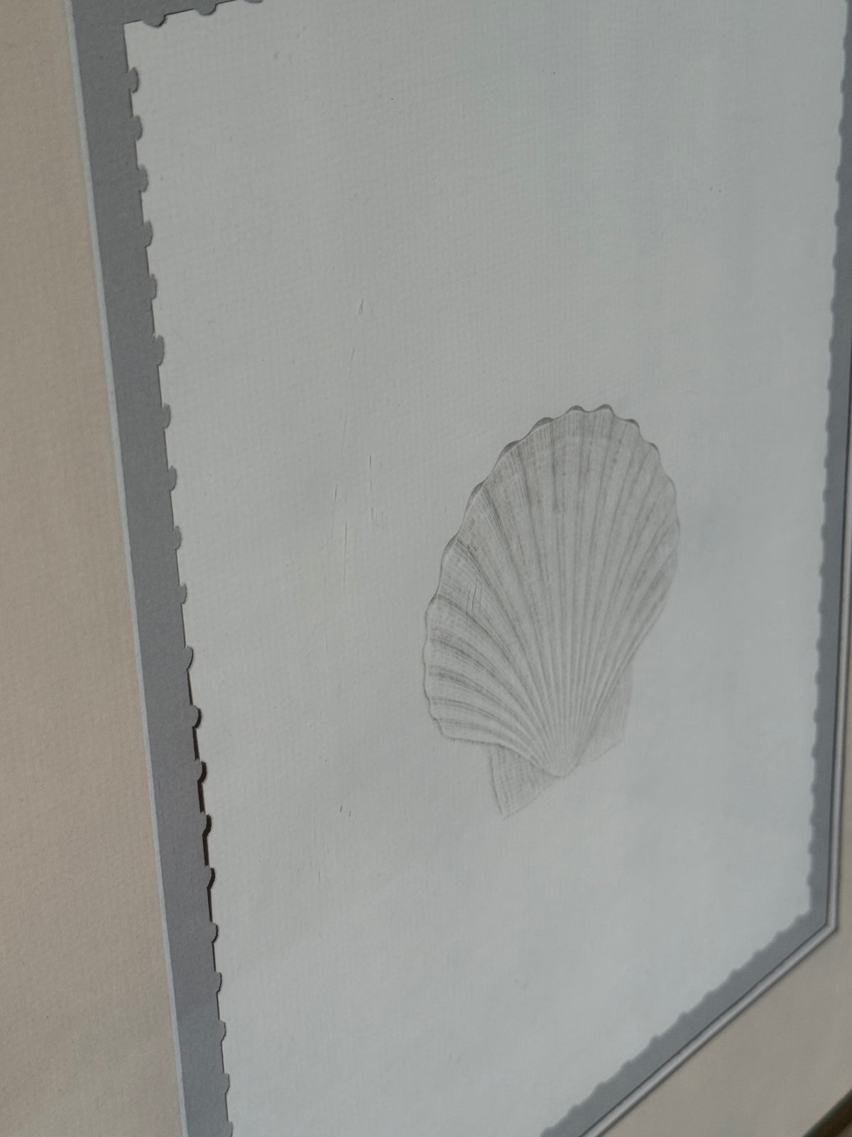 Seashell Print