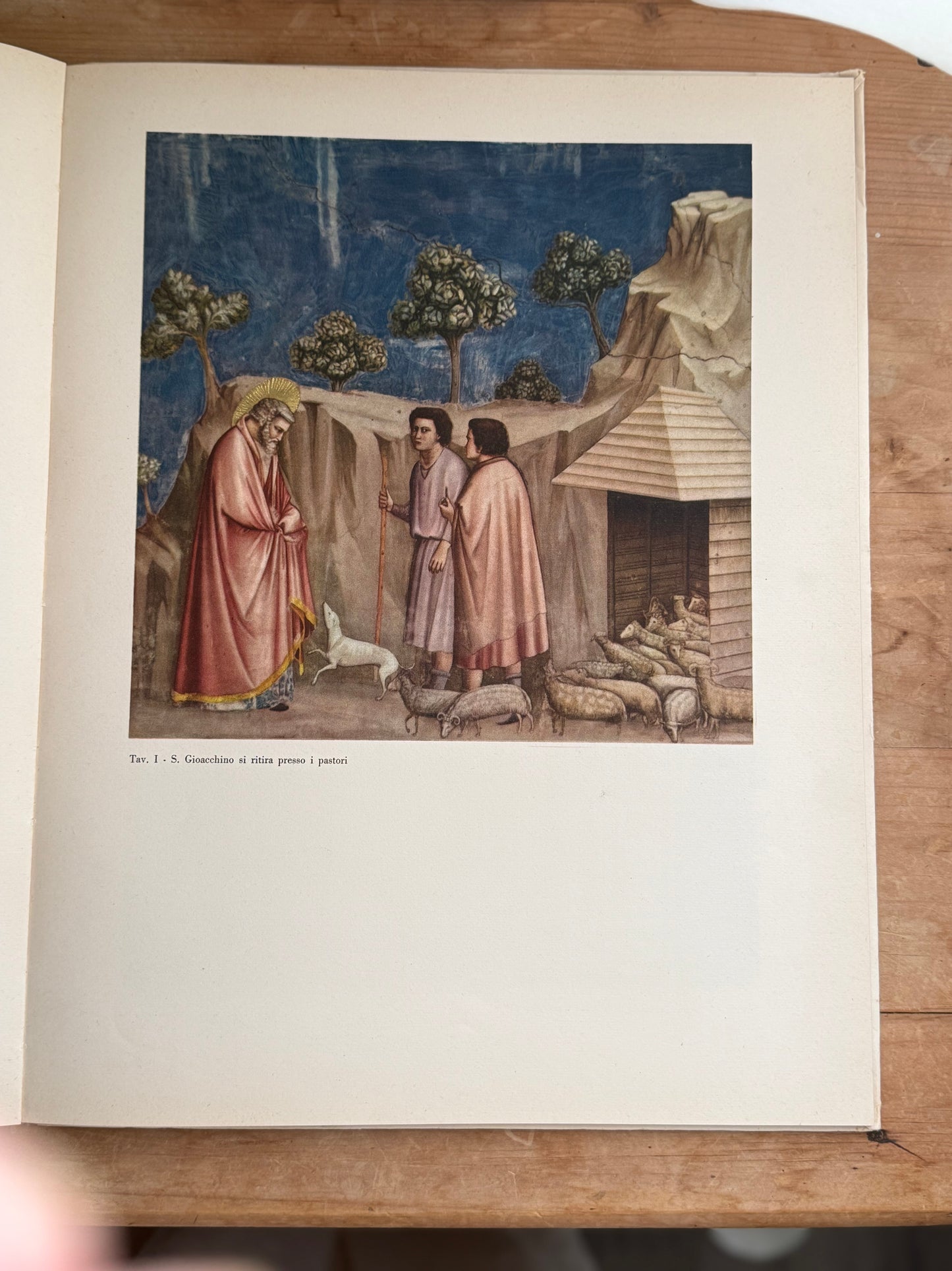 Italian Giotto Artist Book