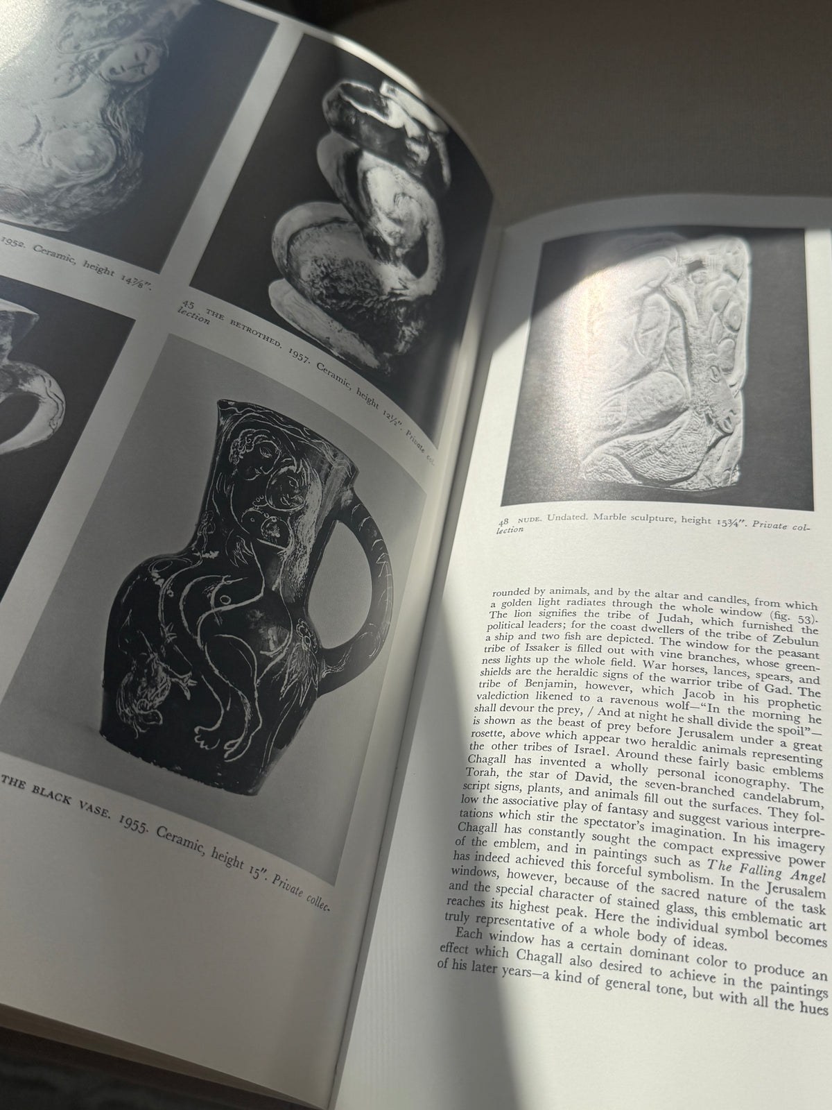 Chagall Book