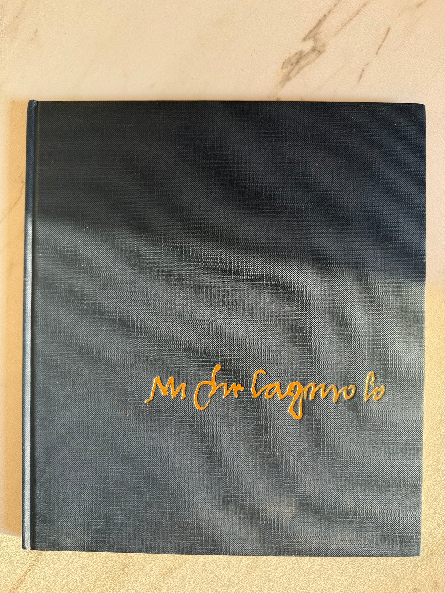 Michelangelo Book