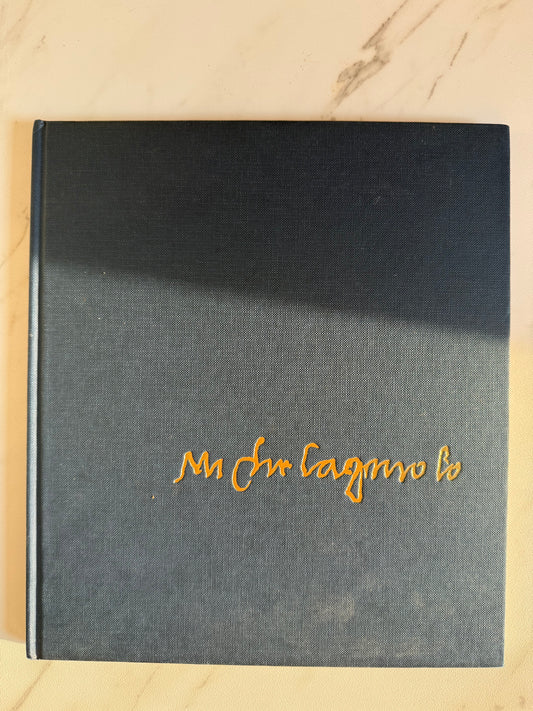 Michelangelo Book