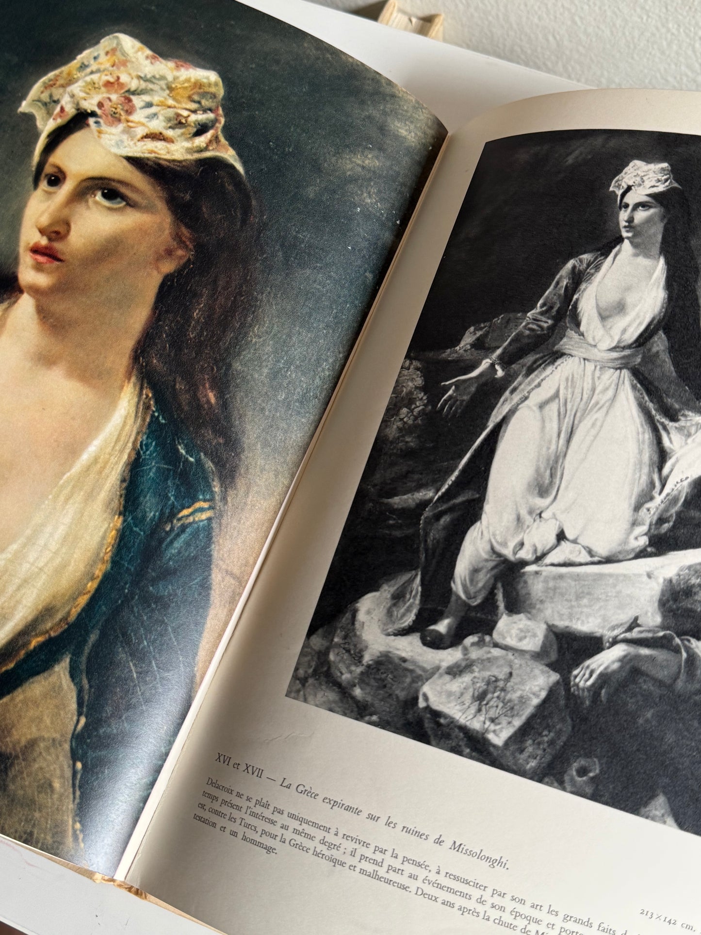 Delacroix Book (in French)