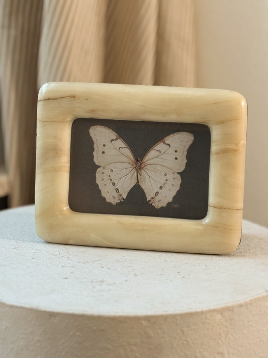Vintage Acrylic Frame with Butterfly Print