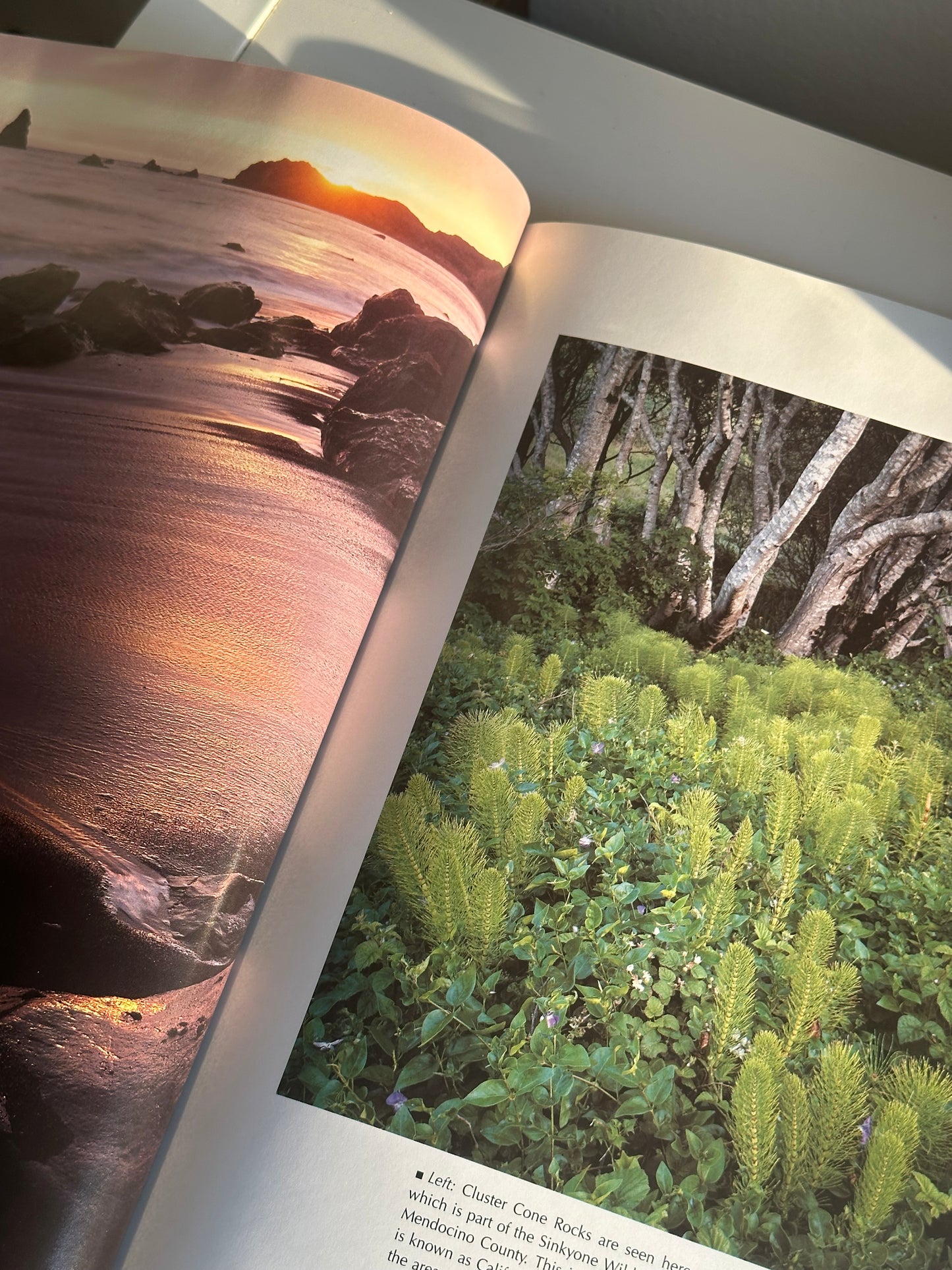 California Coast Book