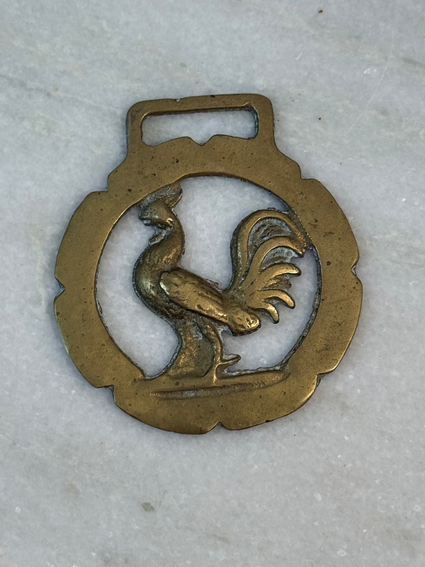 Antique Brass Saddle Medallions