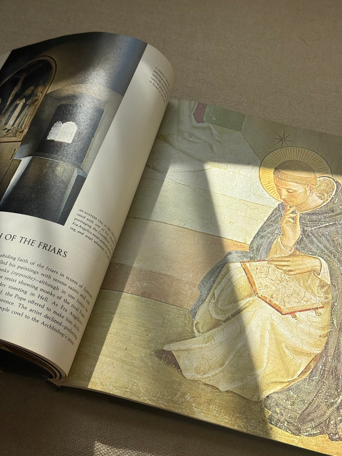 Renaissance Book