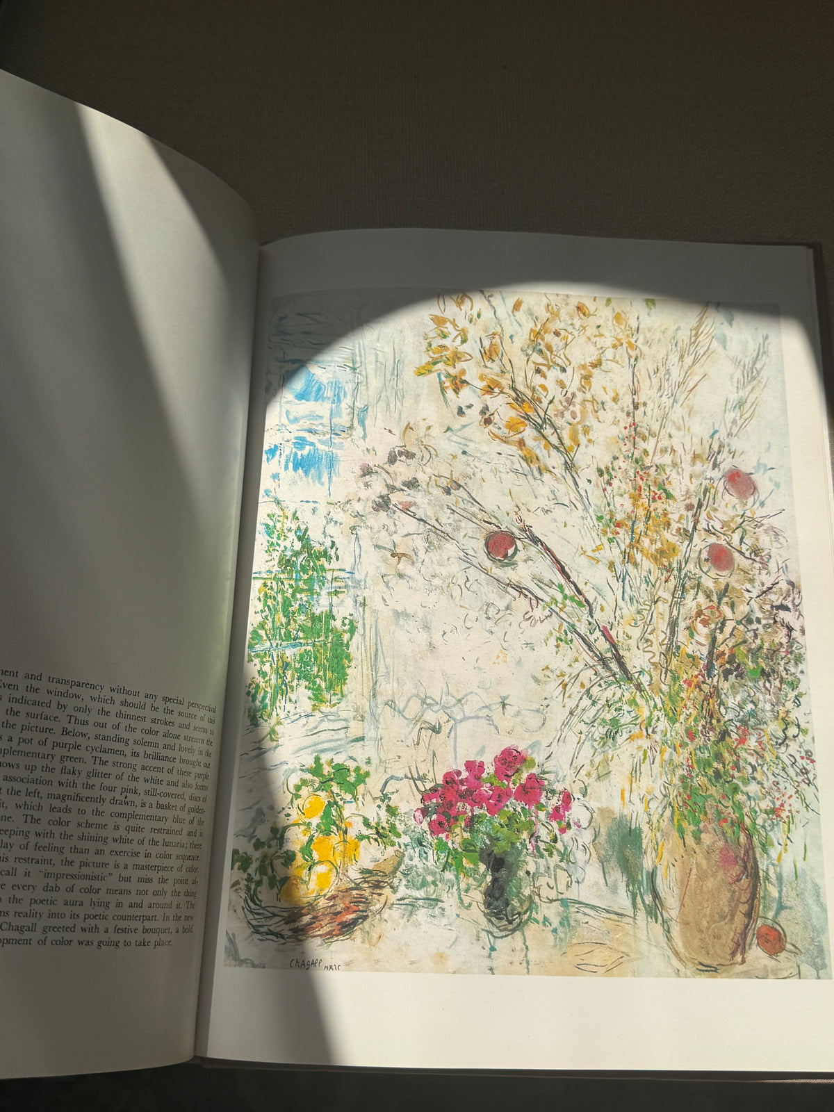Chagall Book