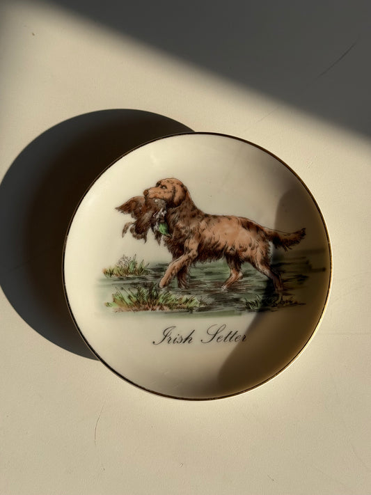 Porcelain Irish Setter Dish