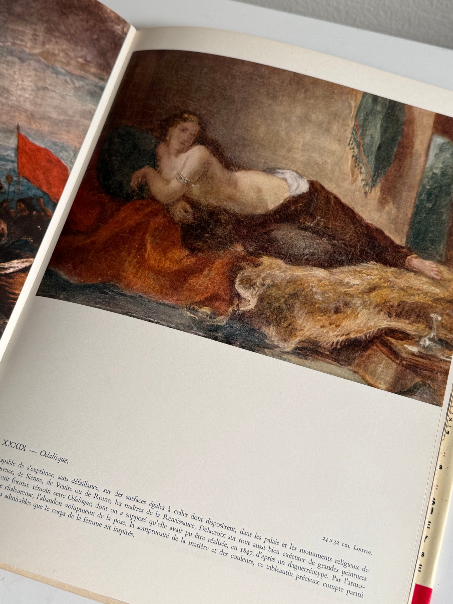 Delacroix Book (in French)