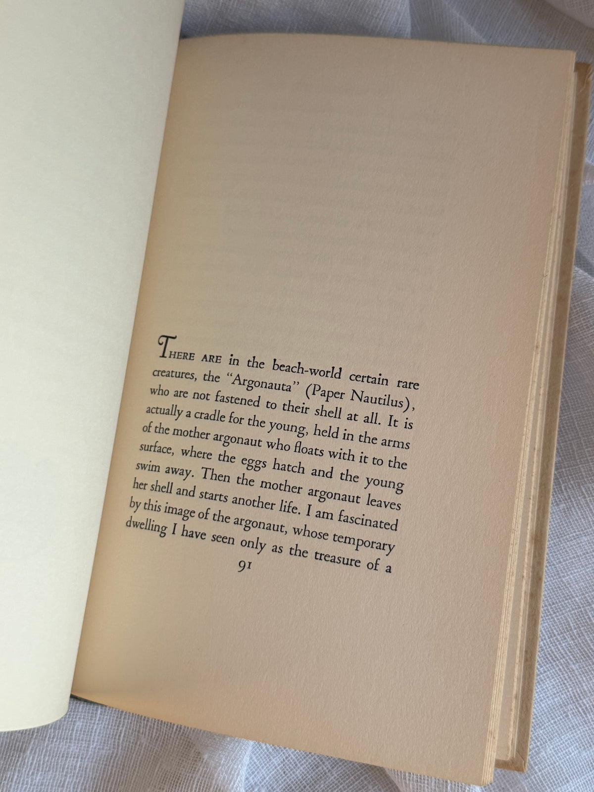 The Gift From The Sea Book