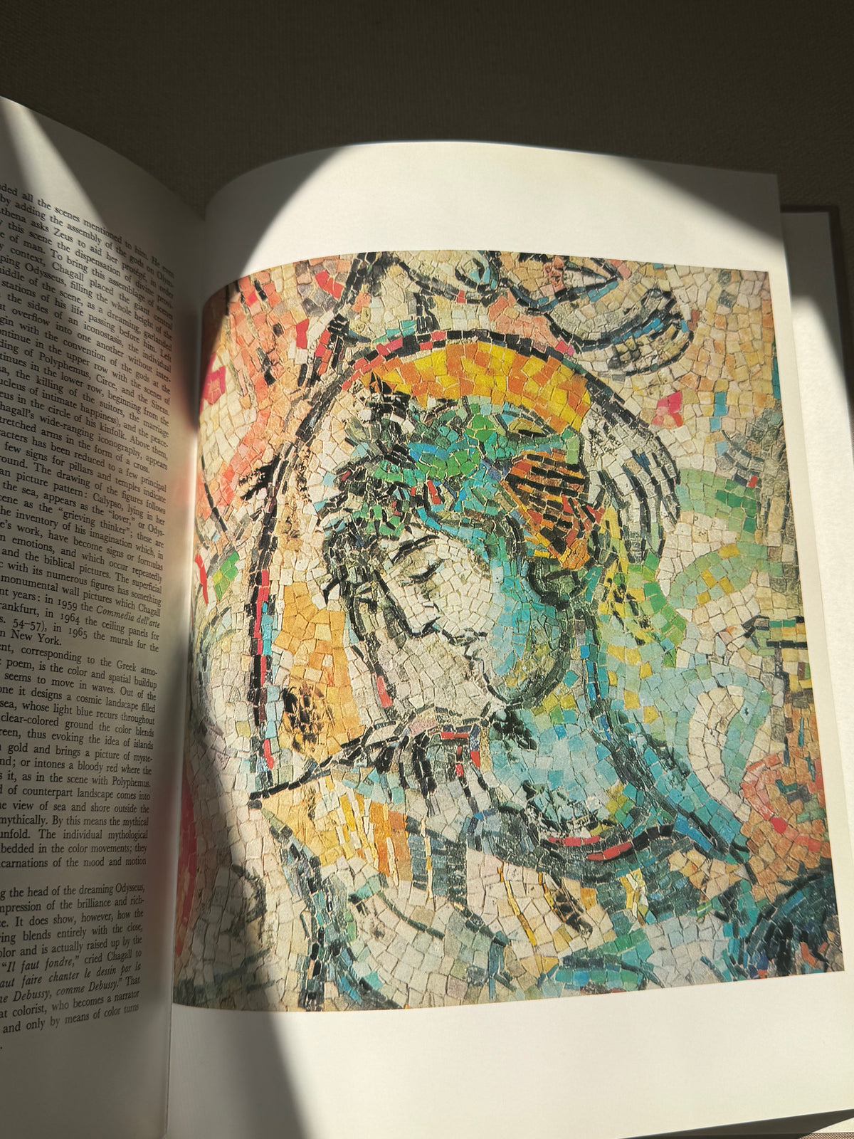 Chagall Book
