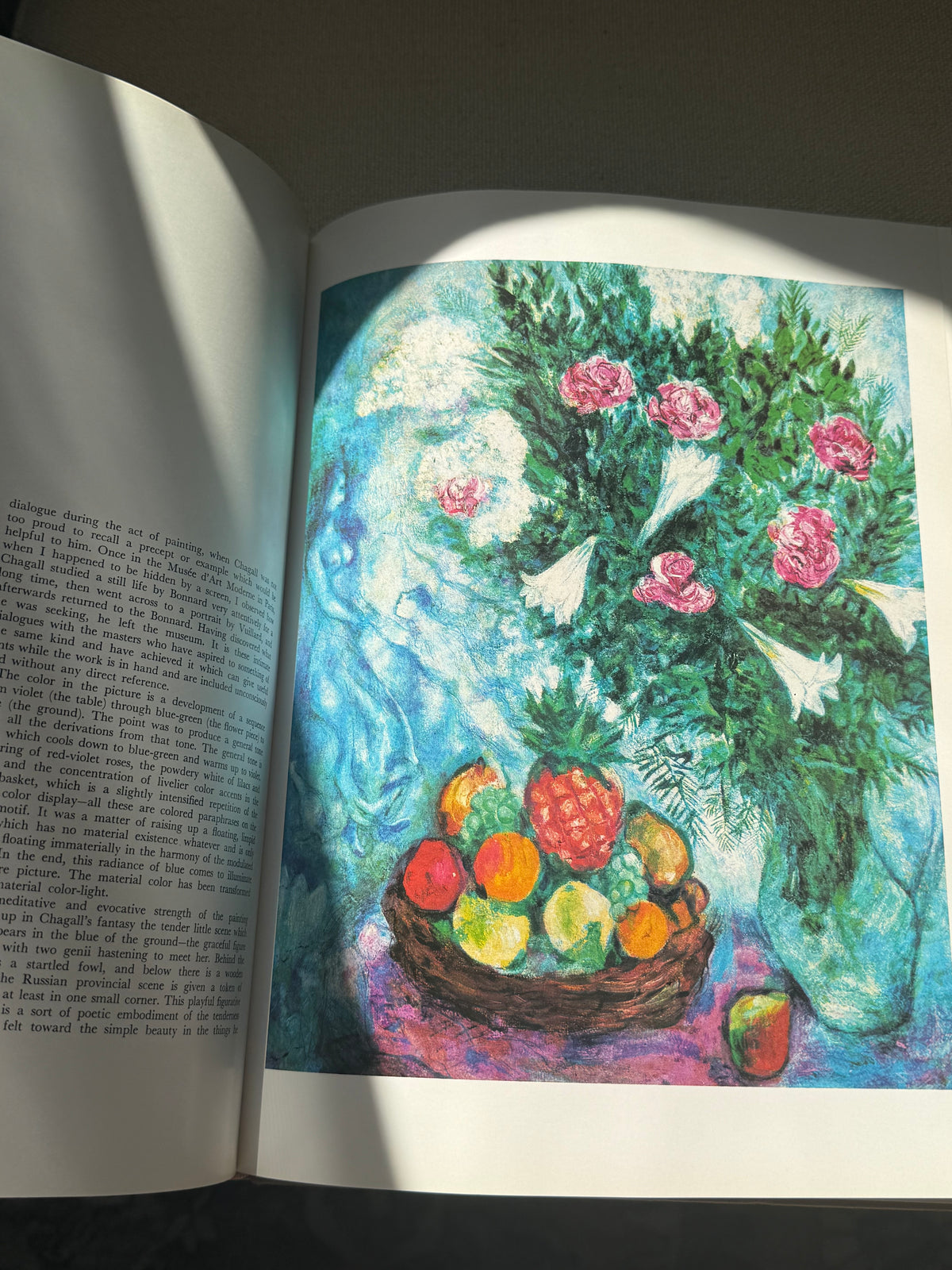 Chagall Book
