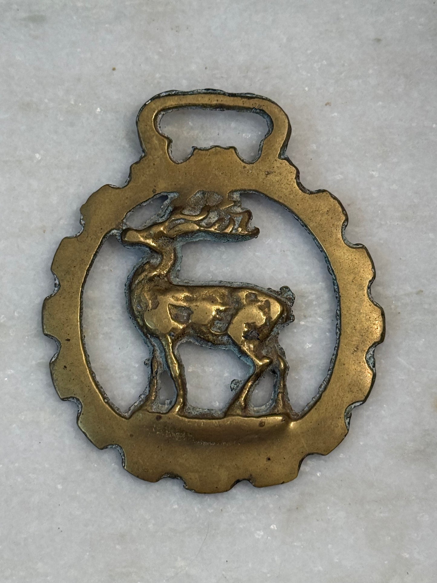 Antique Brass Saddle Medallions