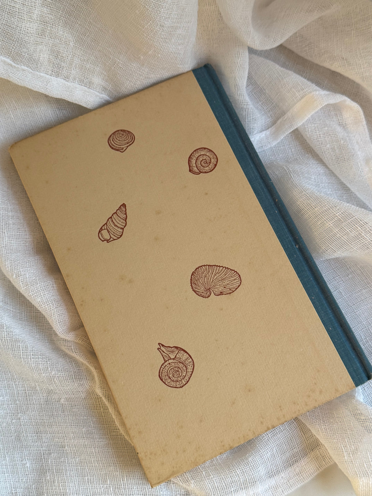 The Gift From The Sea Book