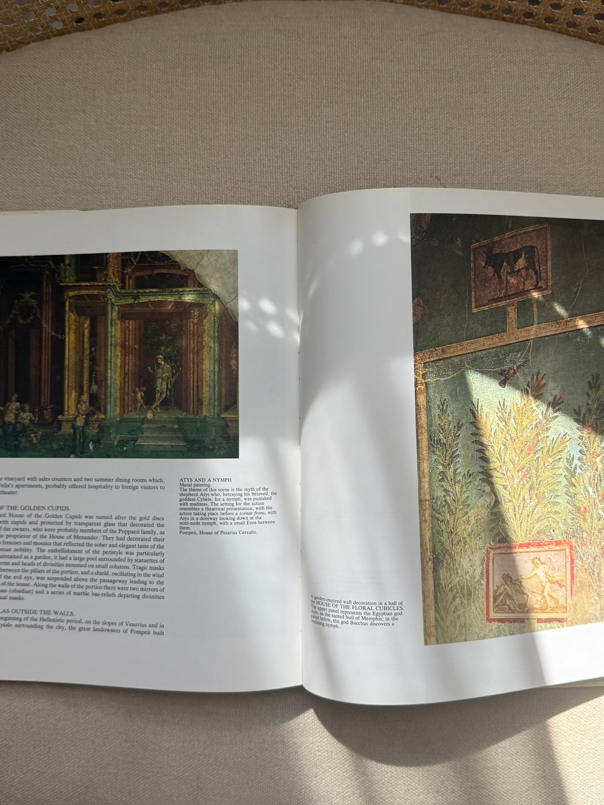 Vintage Great Museum of The World Books