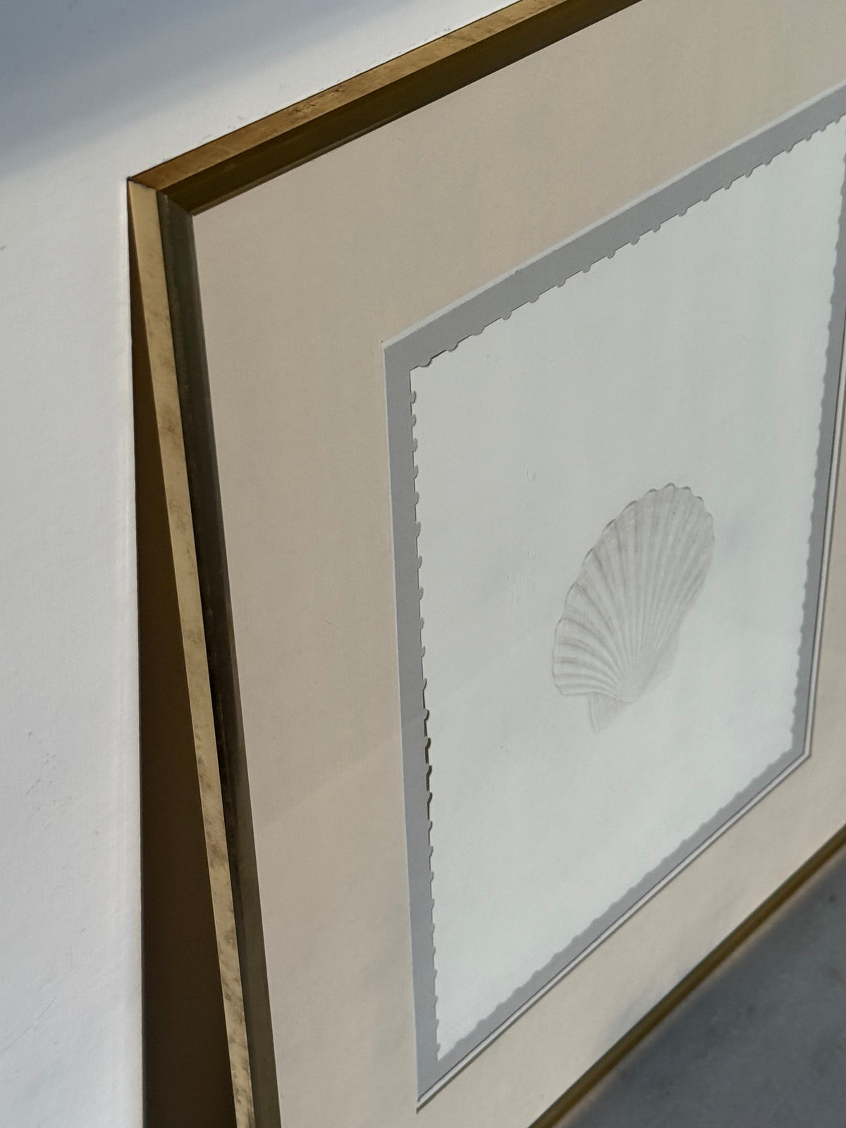 Seashell Print